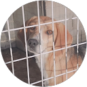 Photo de profil de Léa Héritier